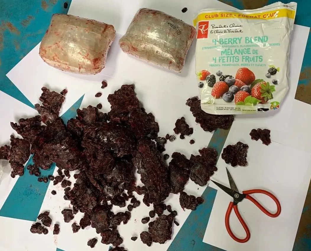 國際禁毒日還敢走私毒品，膽子真大!